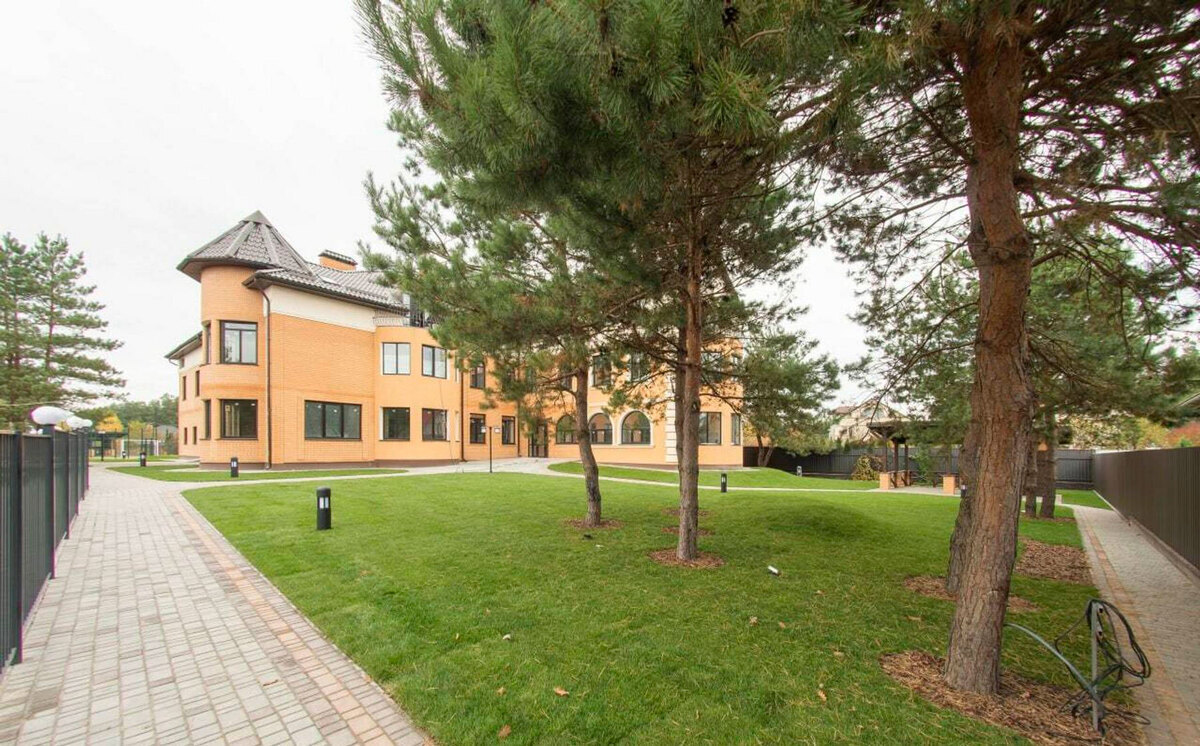 ������ ����