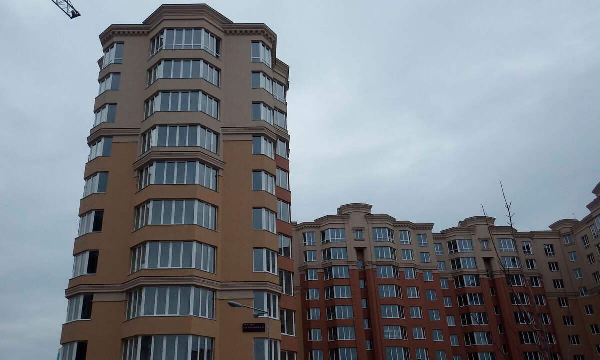 ����� ѳ� ����