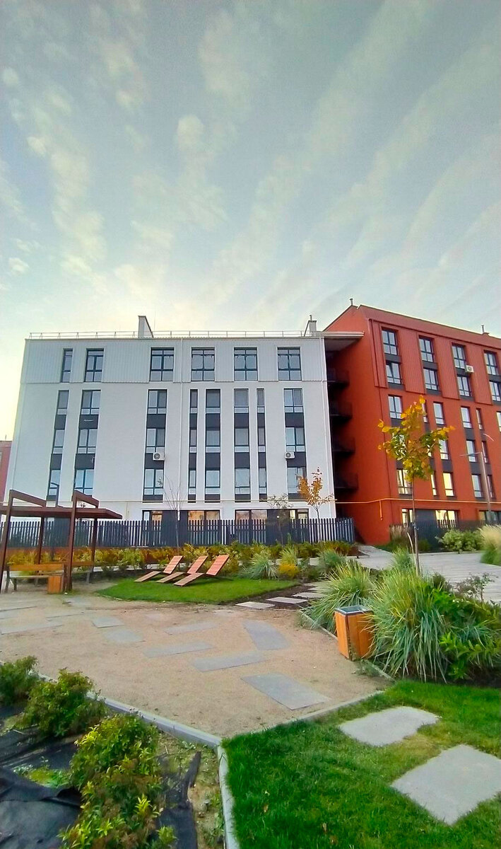 ������ ����