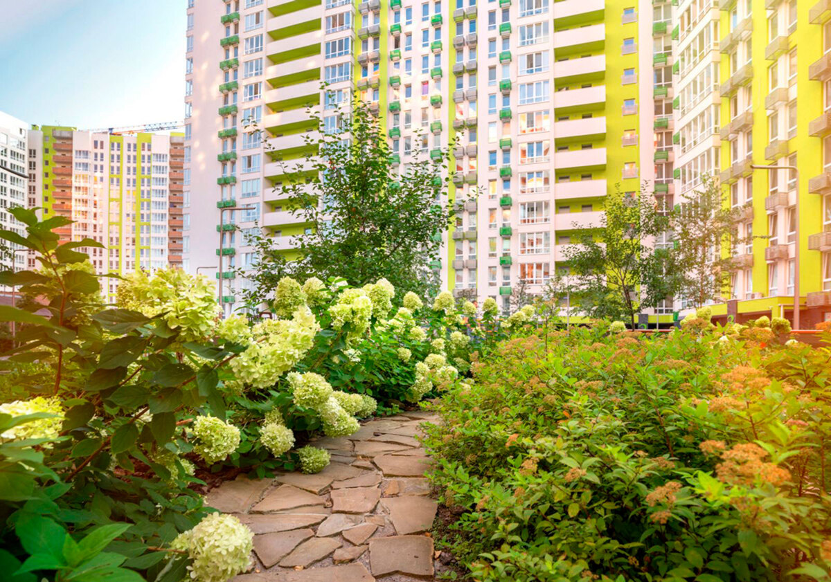 ����� ���� ����