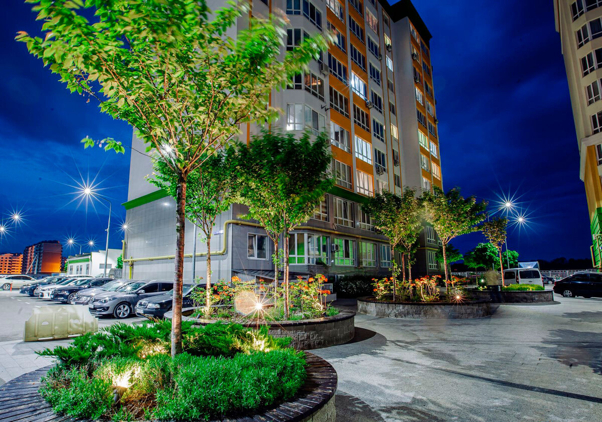 �������� ����