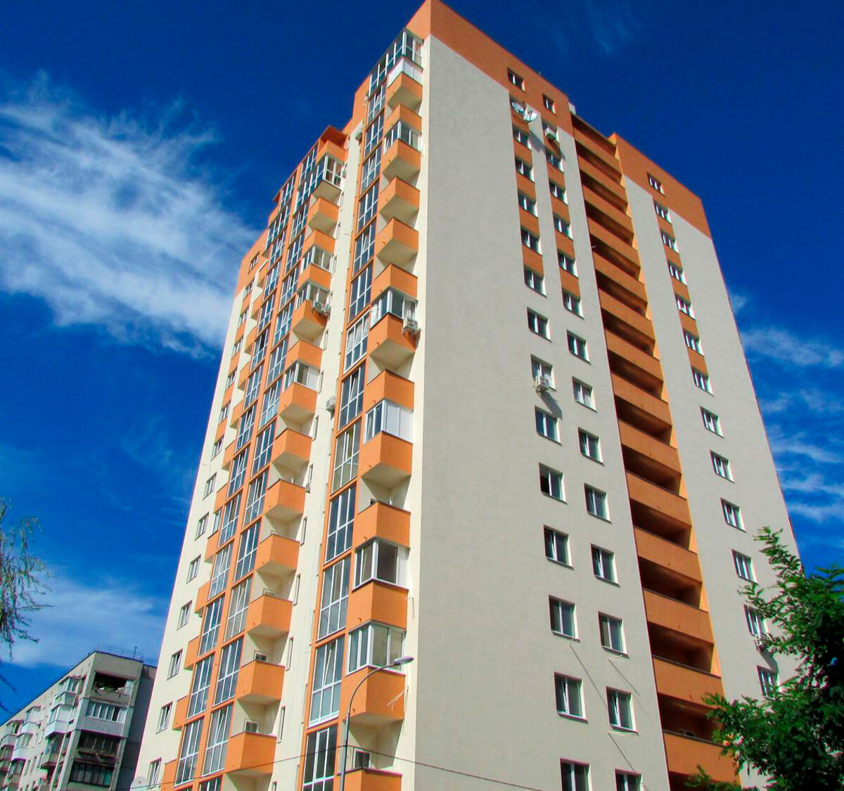 ̳������ ����