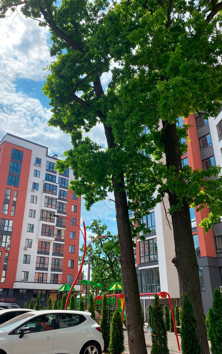 Green Life-3 ����