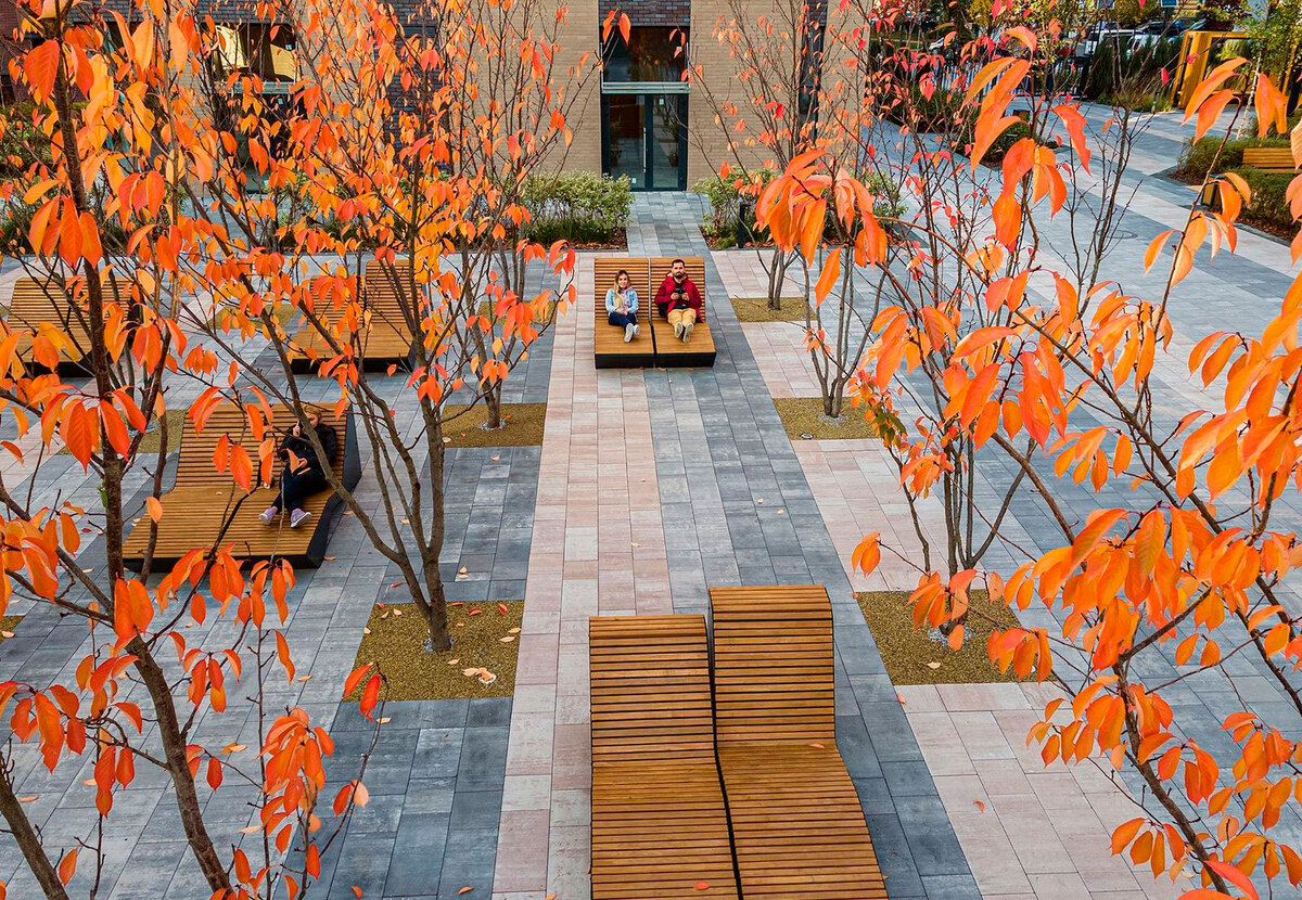 ����� ���� ����