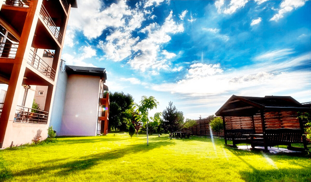 ������ ����