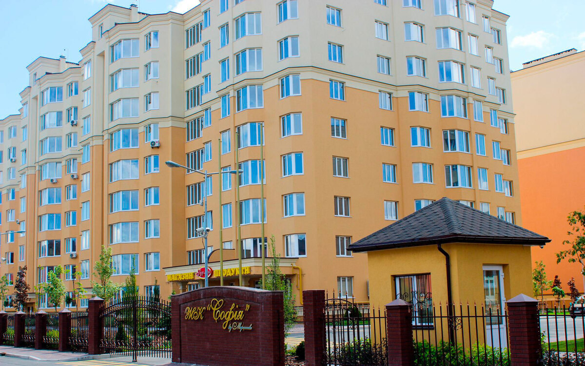 ����� ѳ� ����