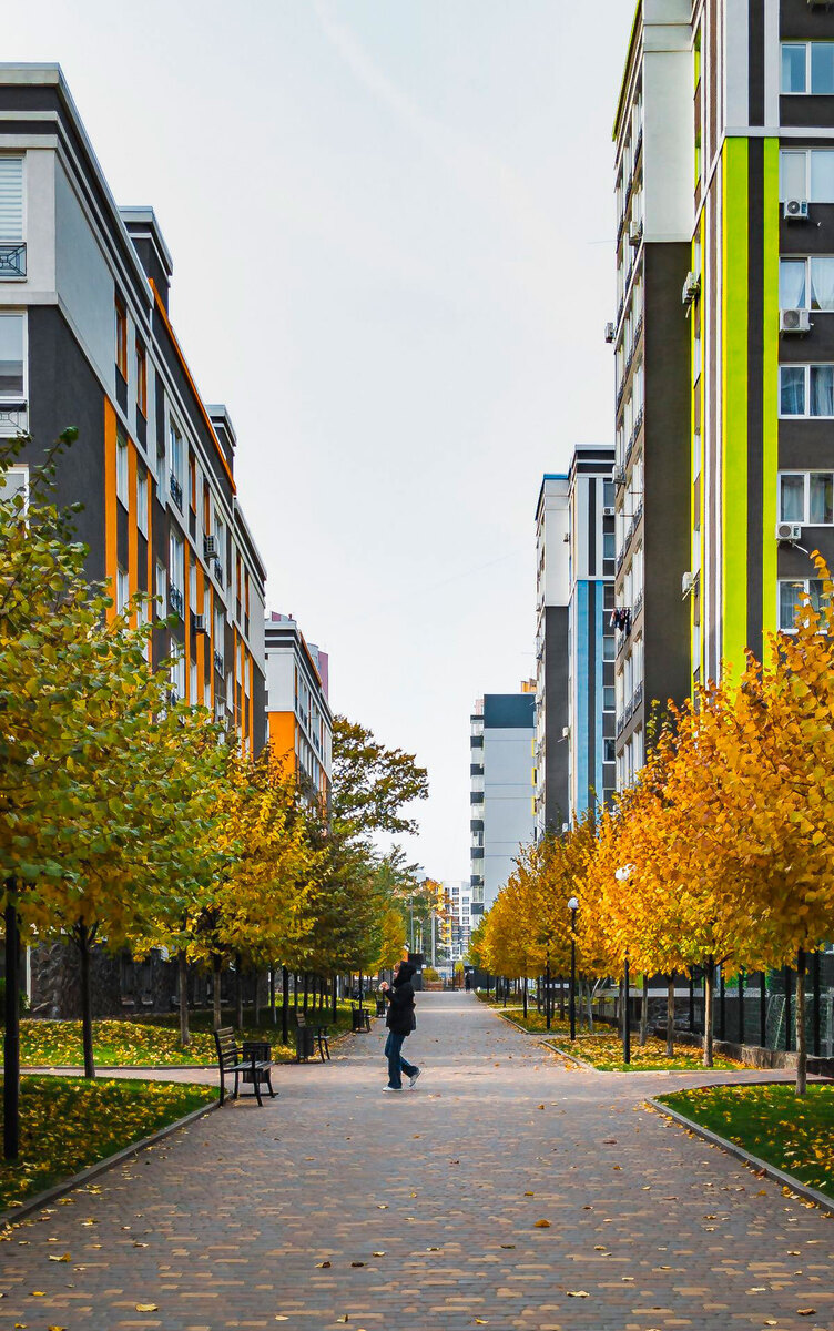 �������-2 ����