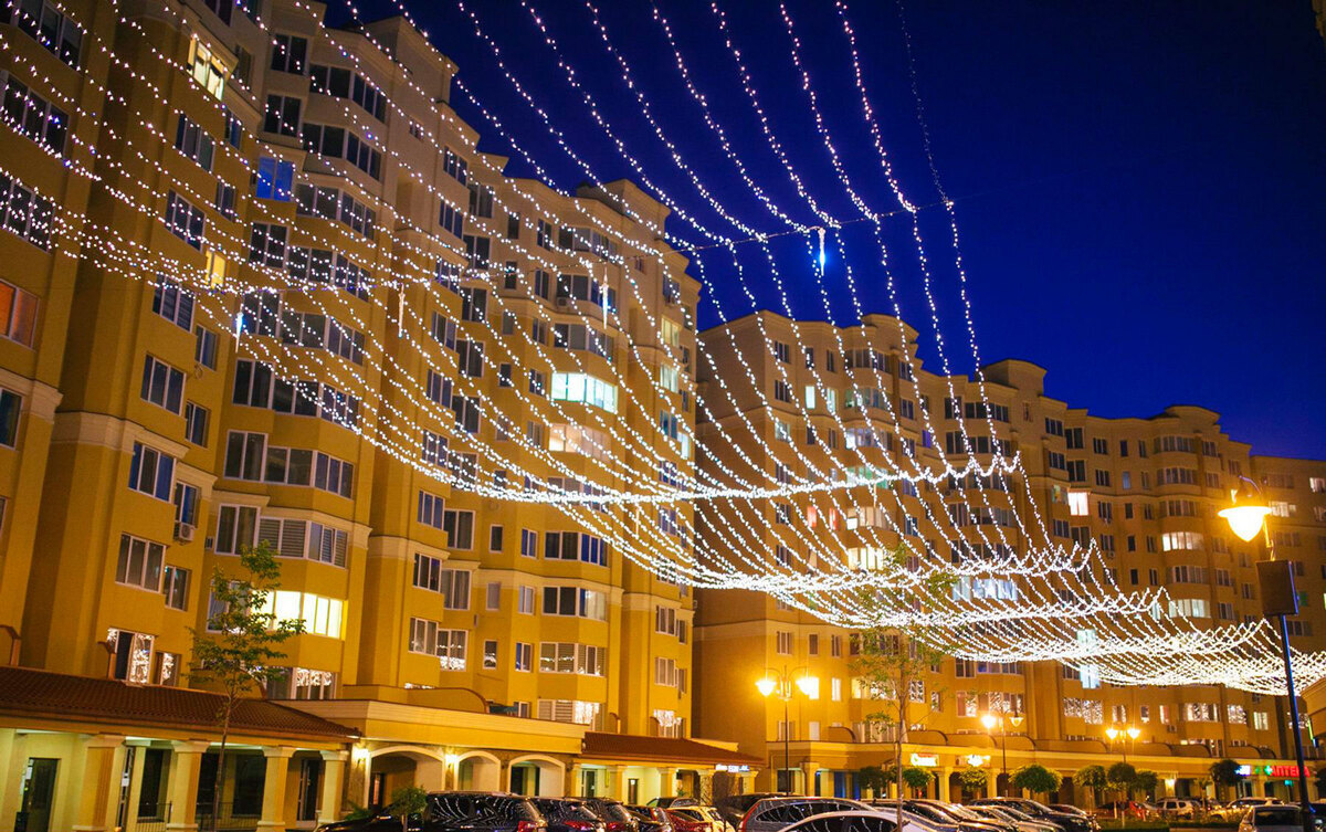 ����� ѳ� ����