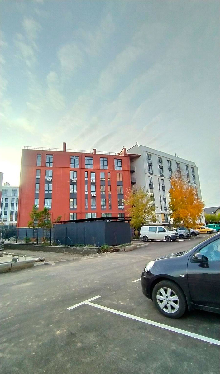 ������ ����