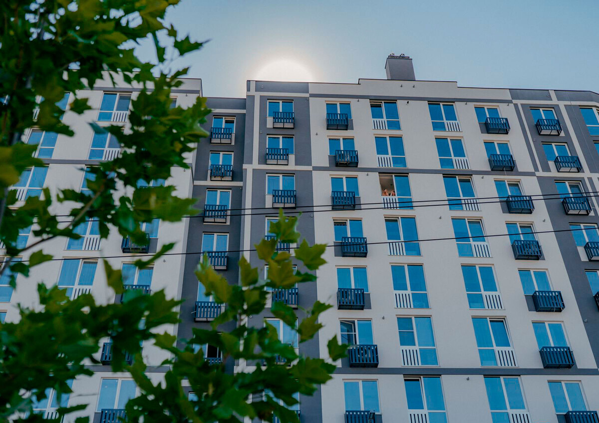 �������� ����