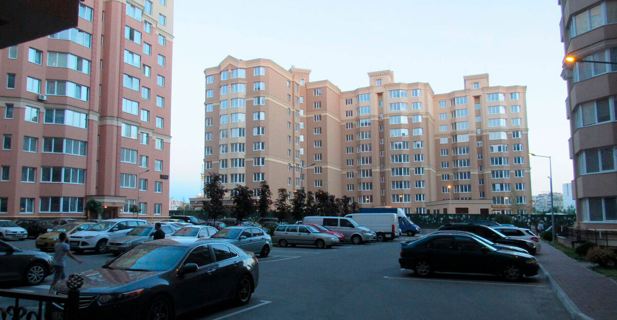 ����� ѳ� ����