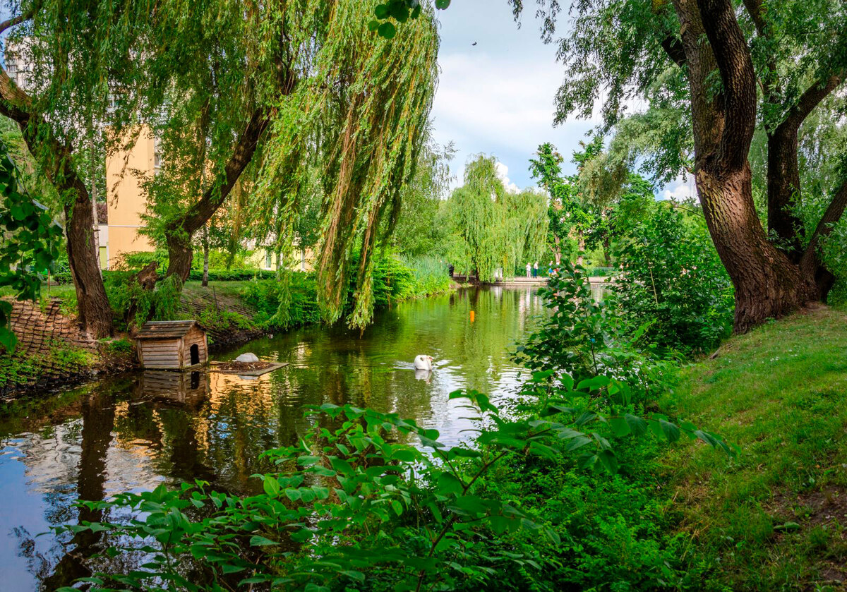 ������� ̳��� ����