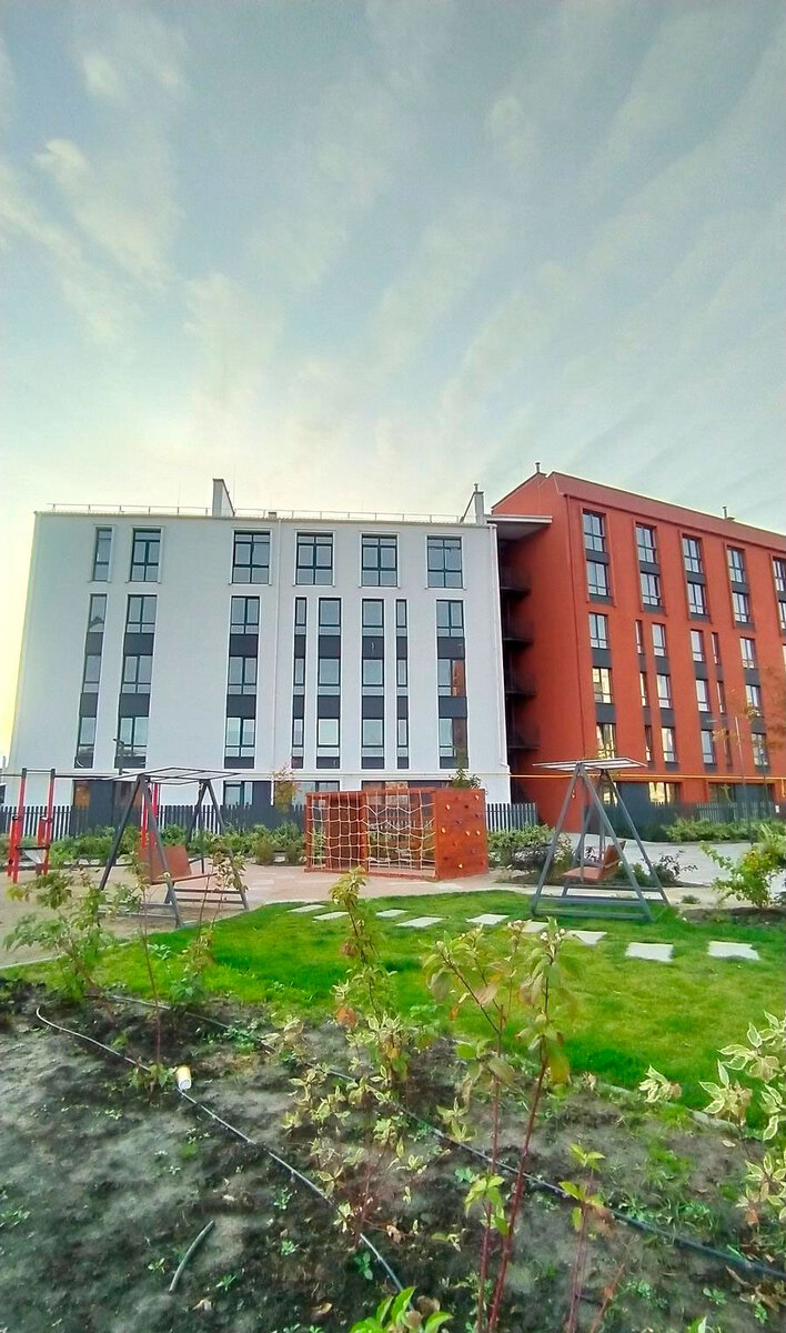 ������ ����