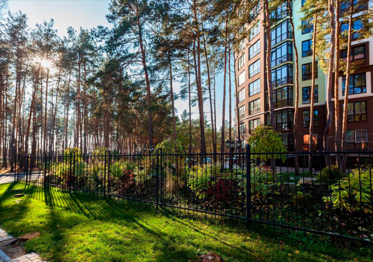 ˳���� ����� ����