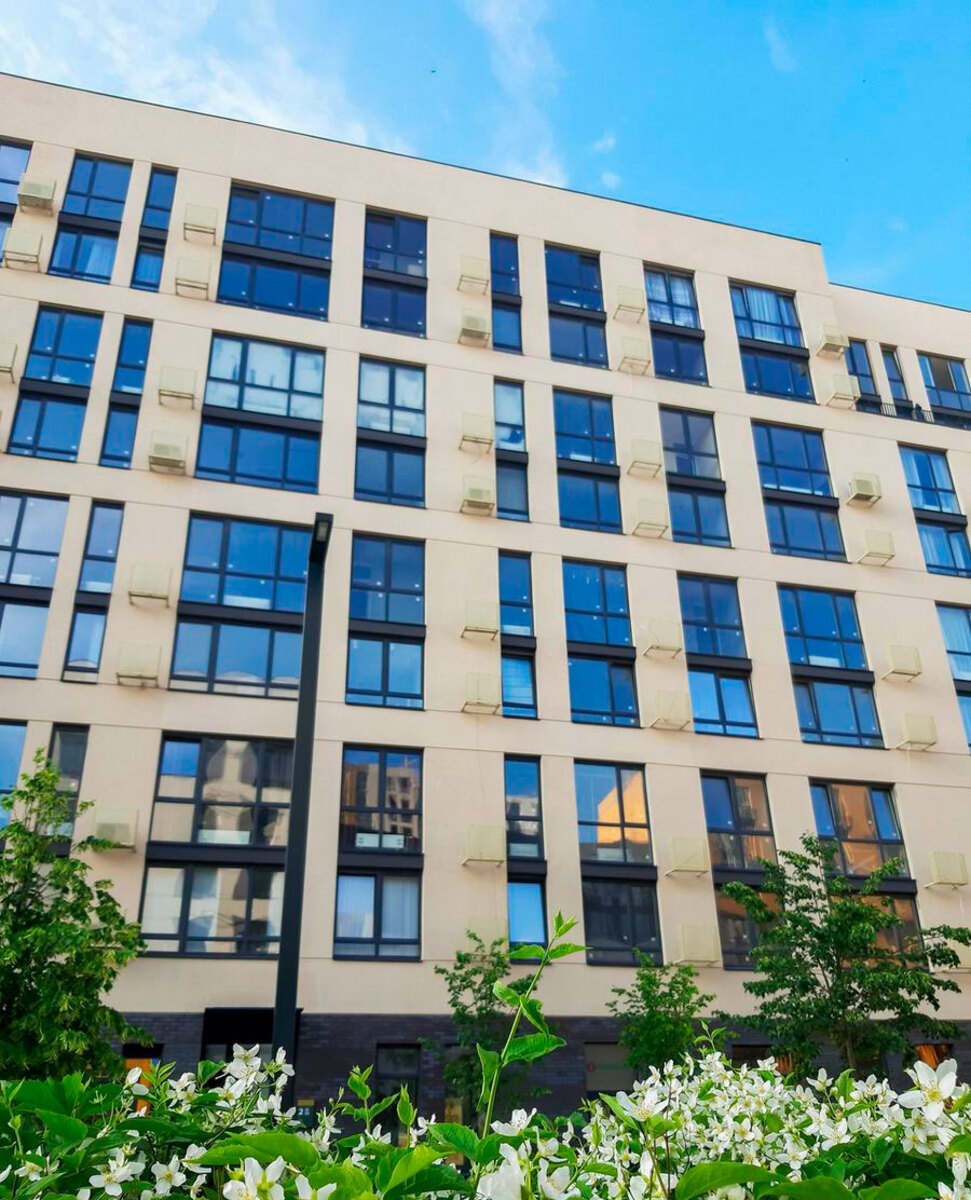 ����� ���� ����