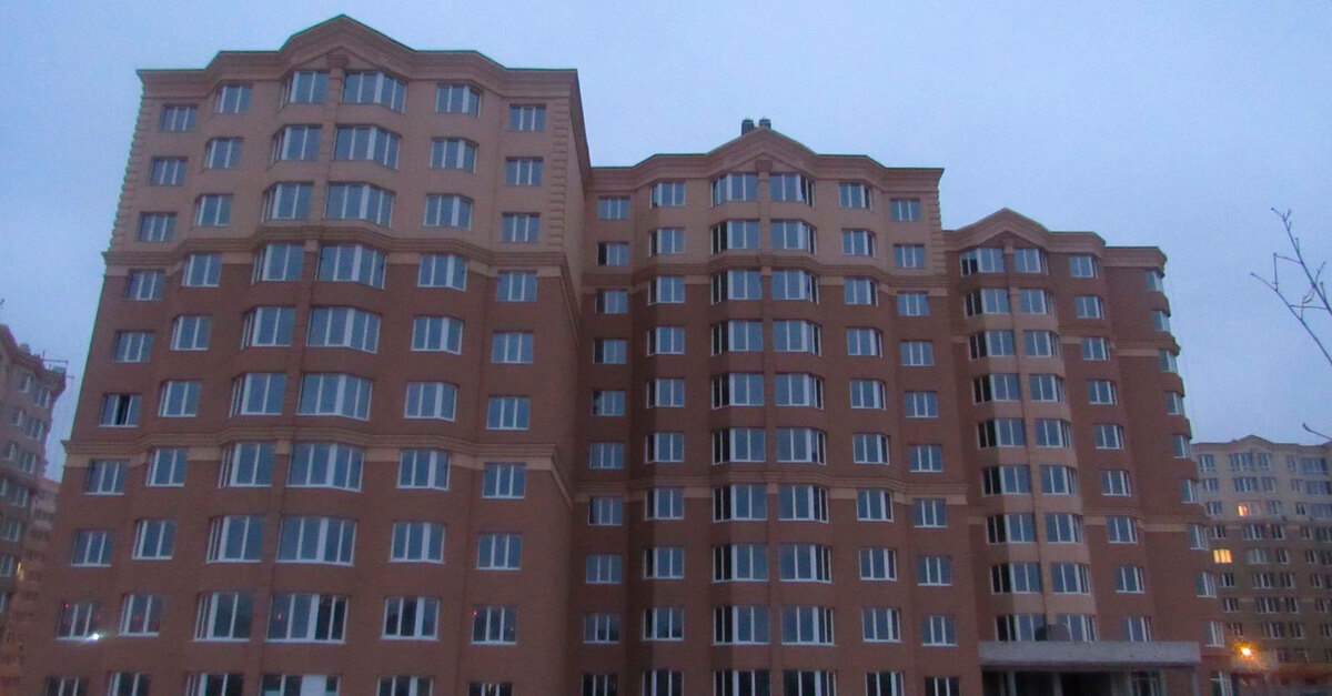 ����� ѳ� ����