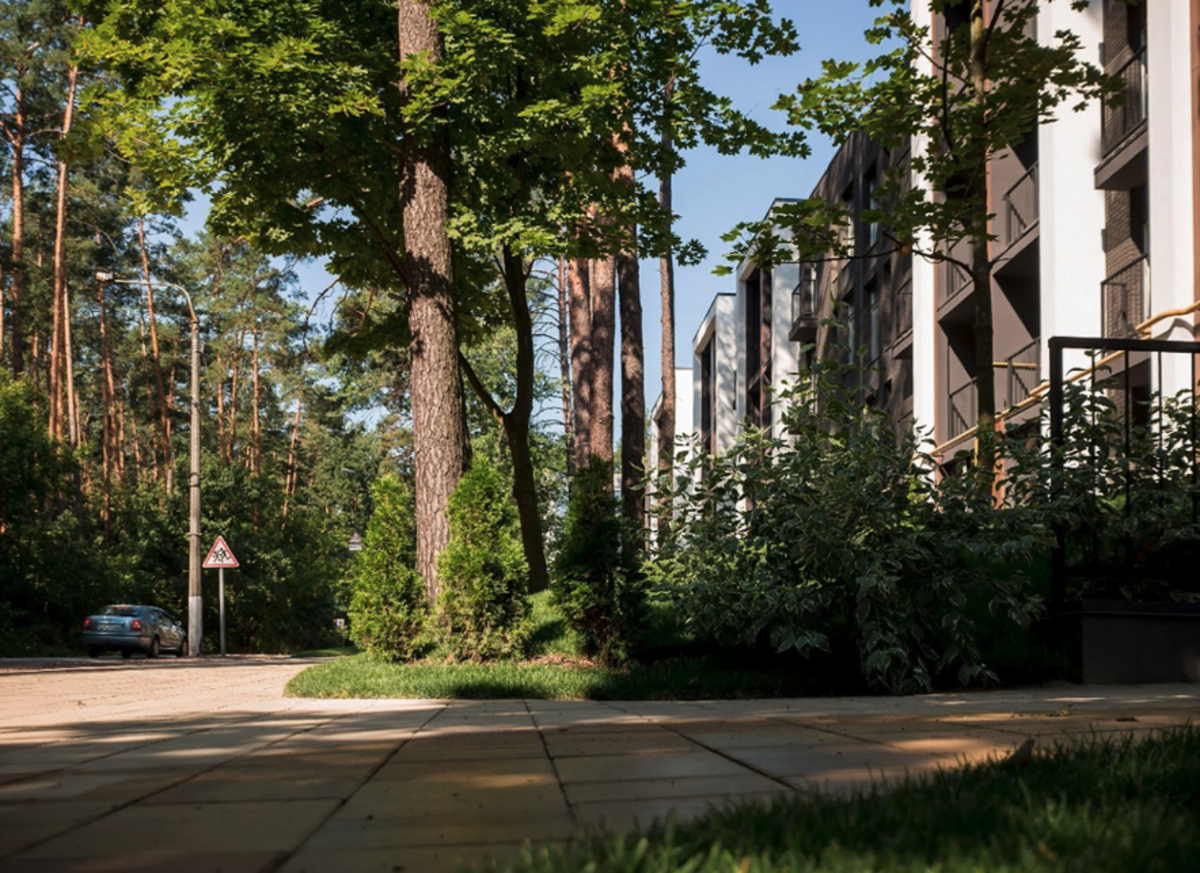 Forest Park ����