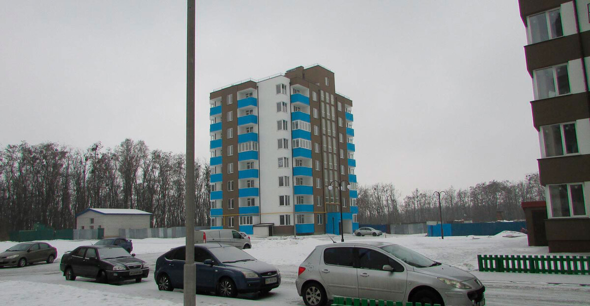 ����������� ���� ����