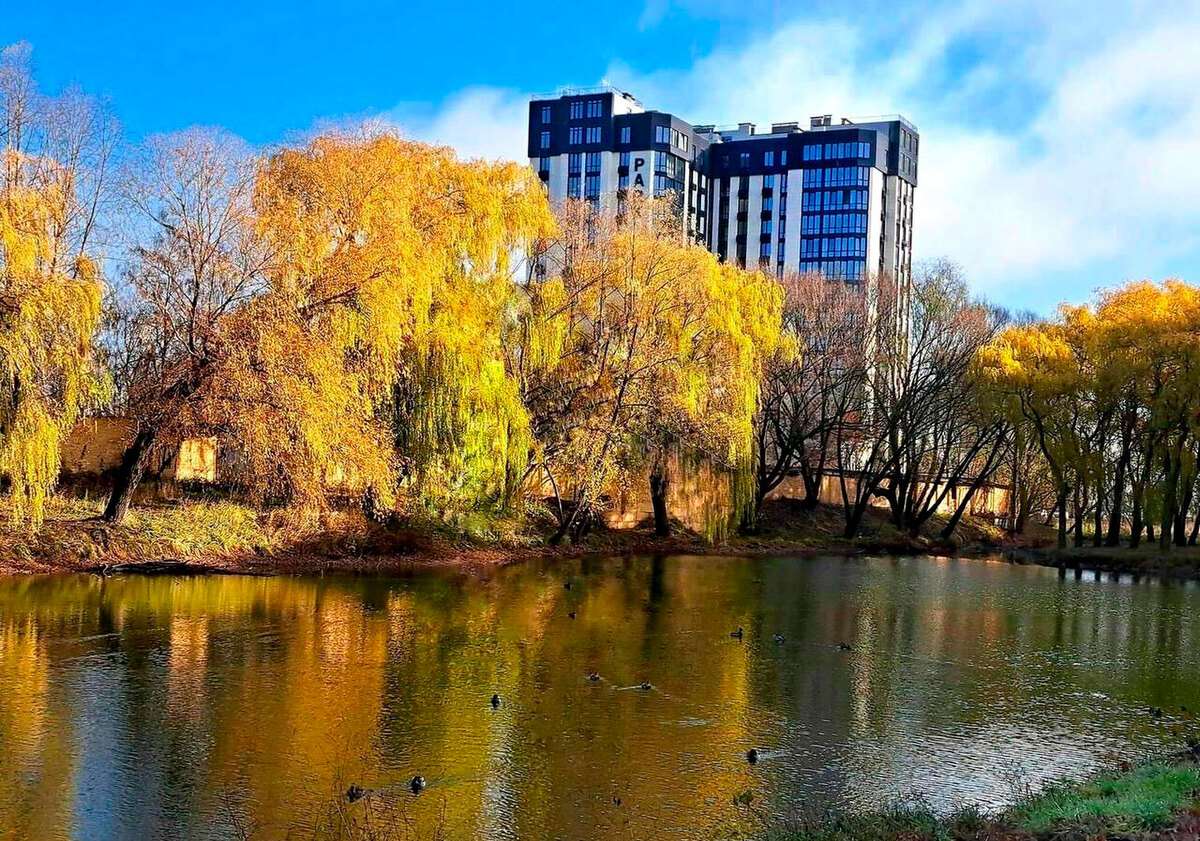 Park Plaza ����