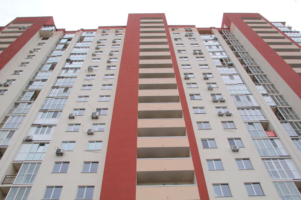 ��������� ����