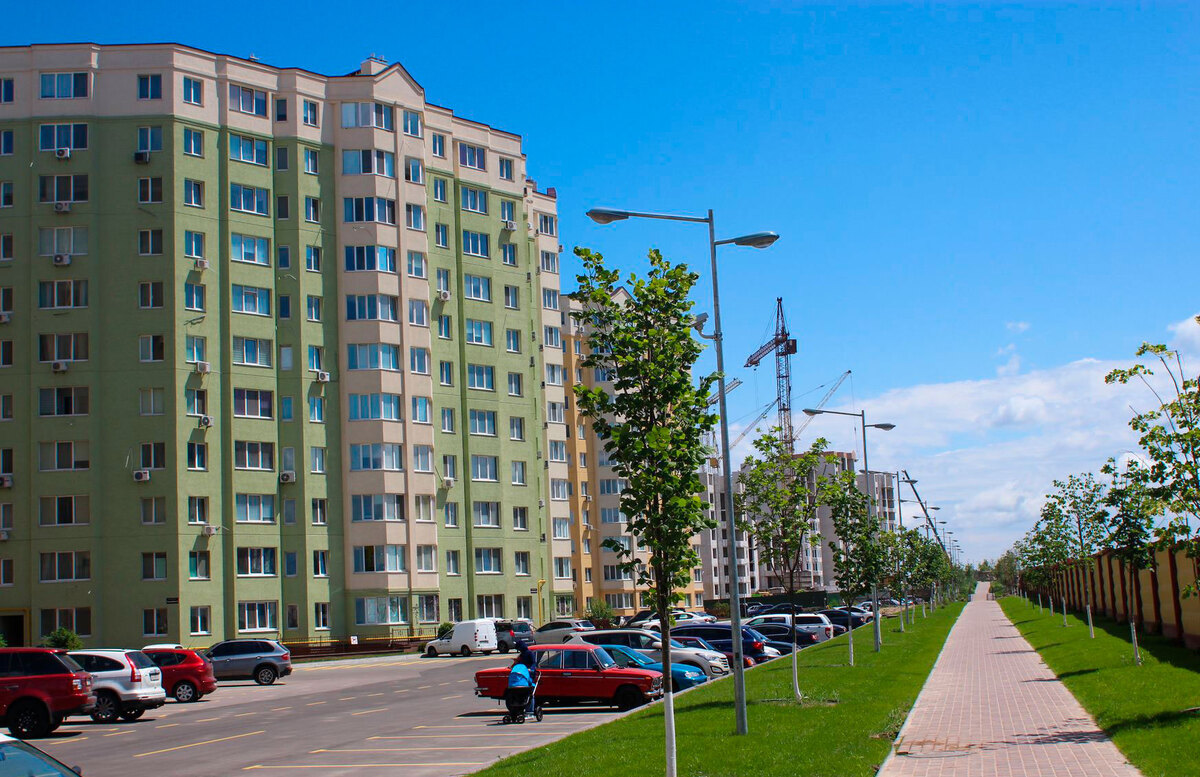 ����� ѳ� ����