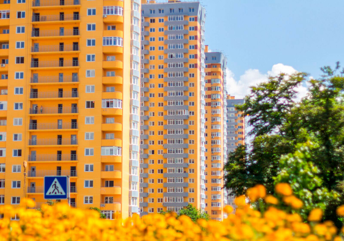 ̳����������� ����