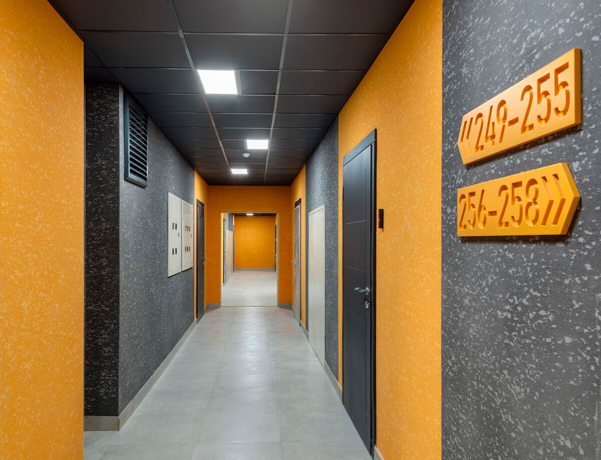 ������������� ���� ����