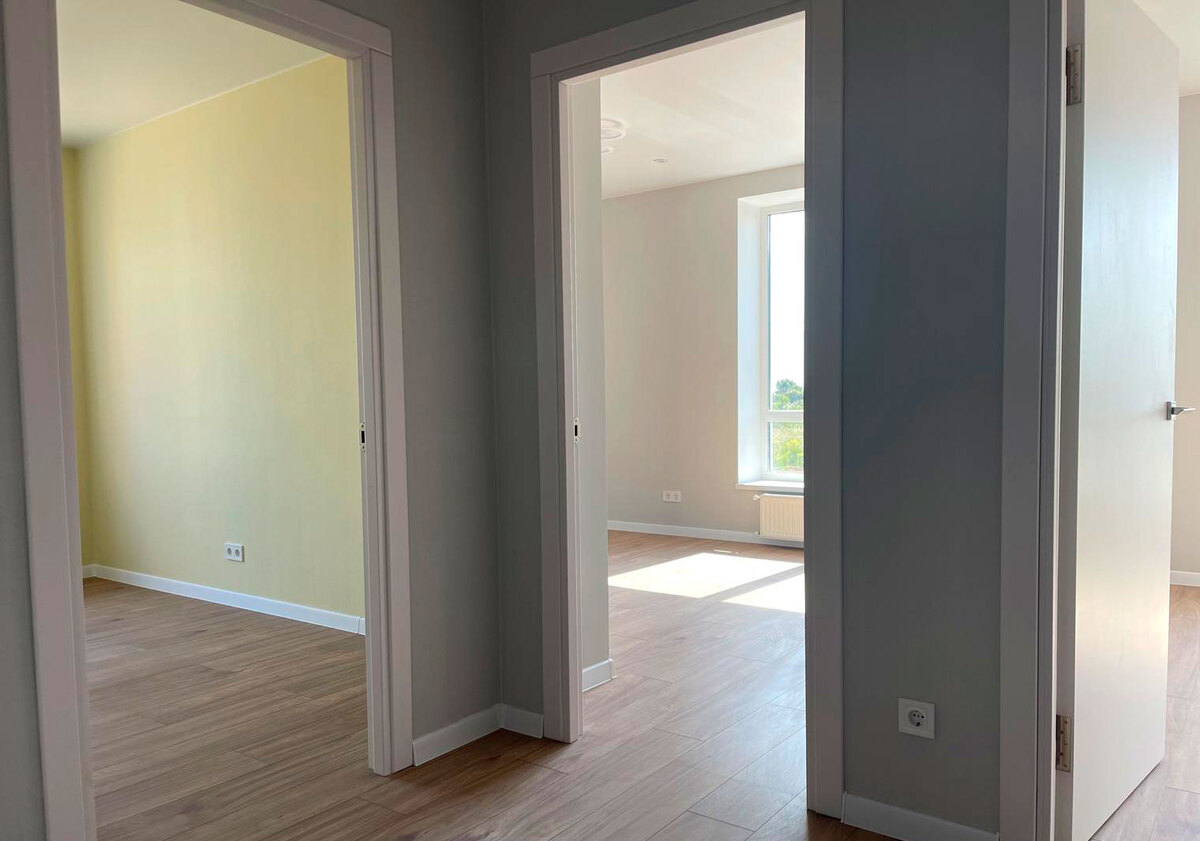 ������ ����