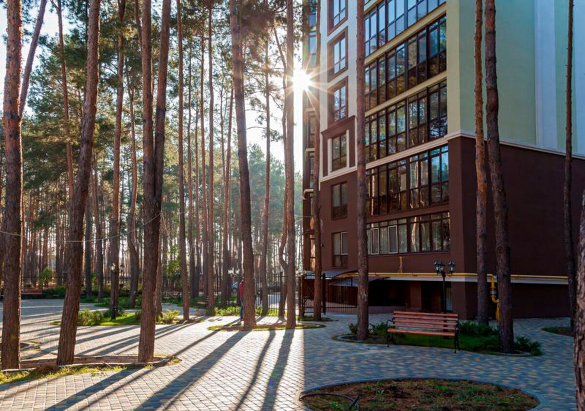 ˳���� ����� ����