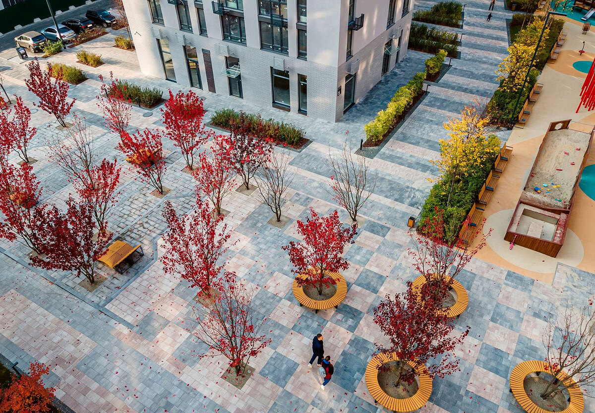 ����� ���� ����