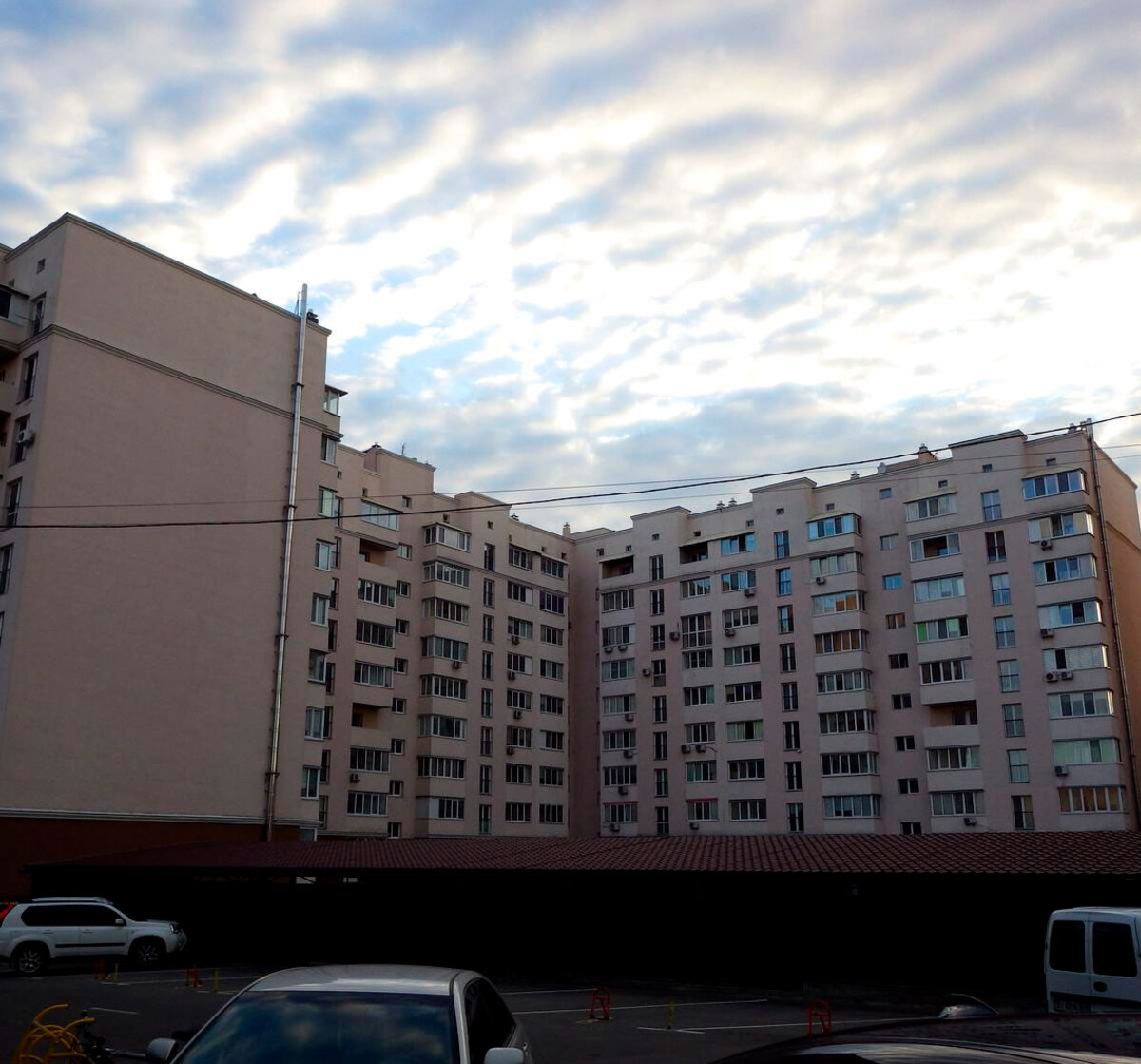 ������� ���� ����