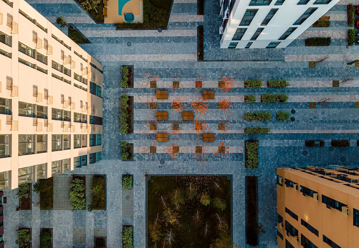 ����� ���� ����