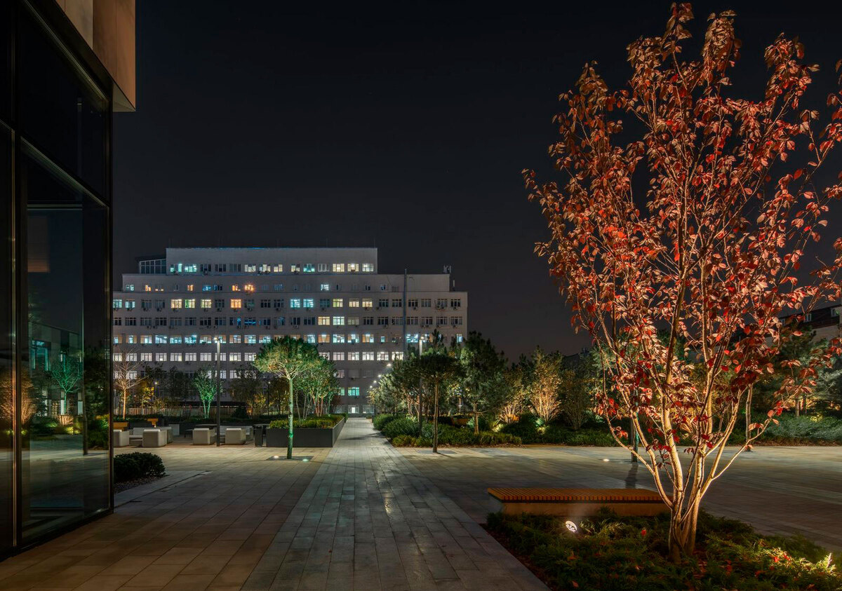 Tetris Hall ����