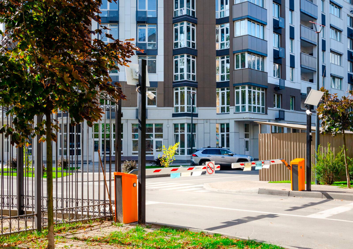 �������� ����