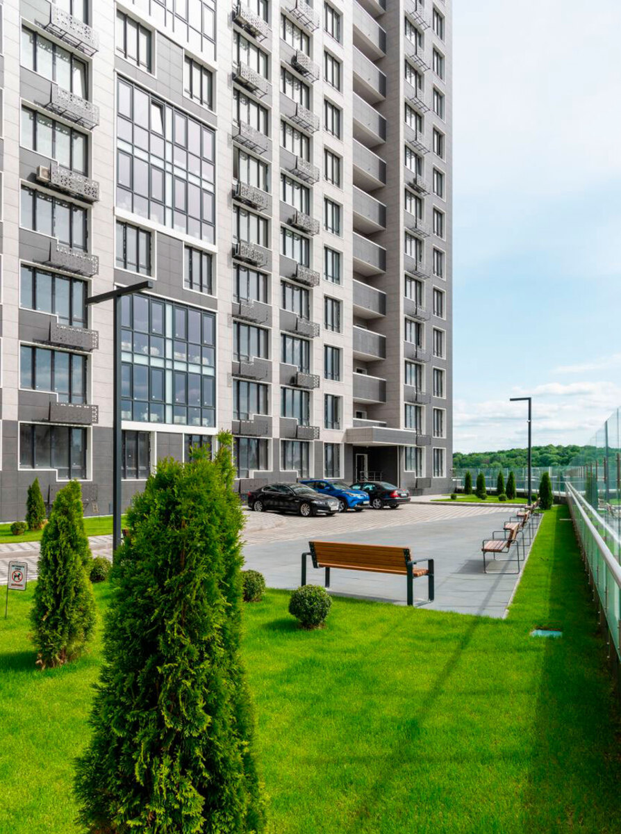 ������������� ���� ����