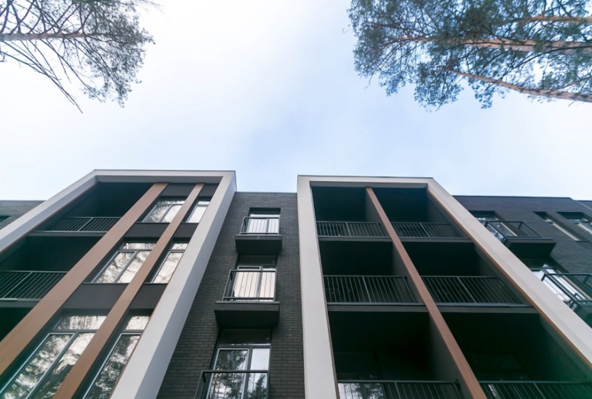 Forest Park ����