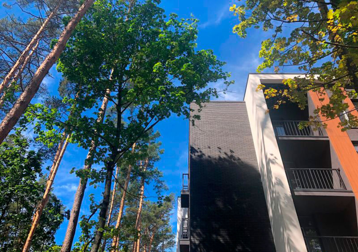 Forest Park ����