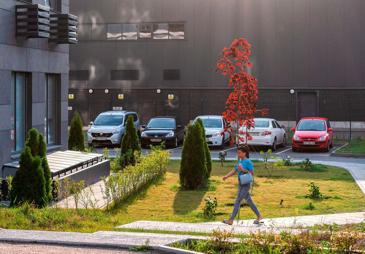 ��������� ����