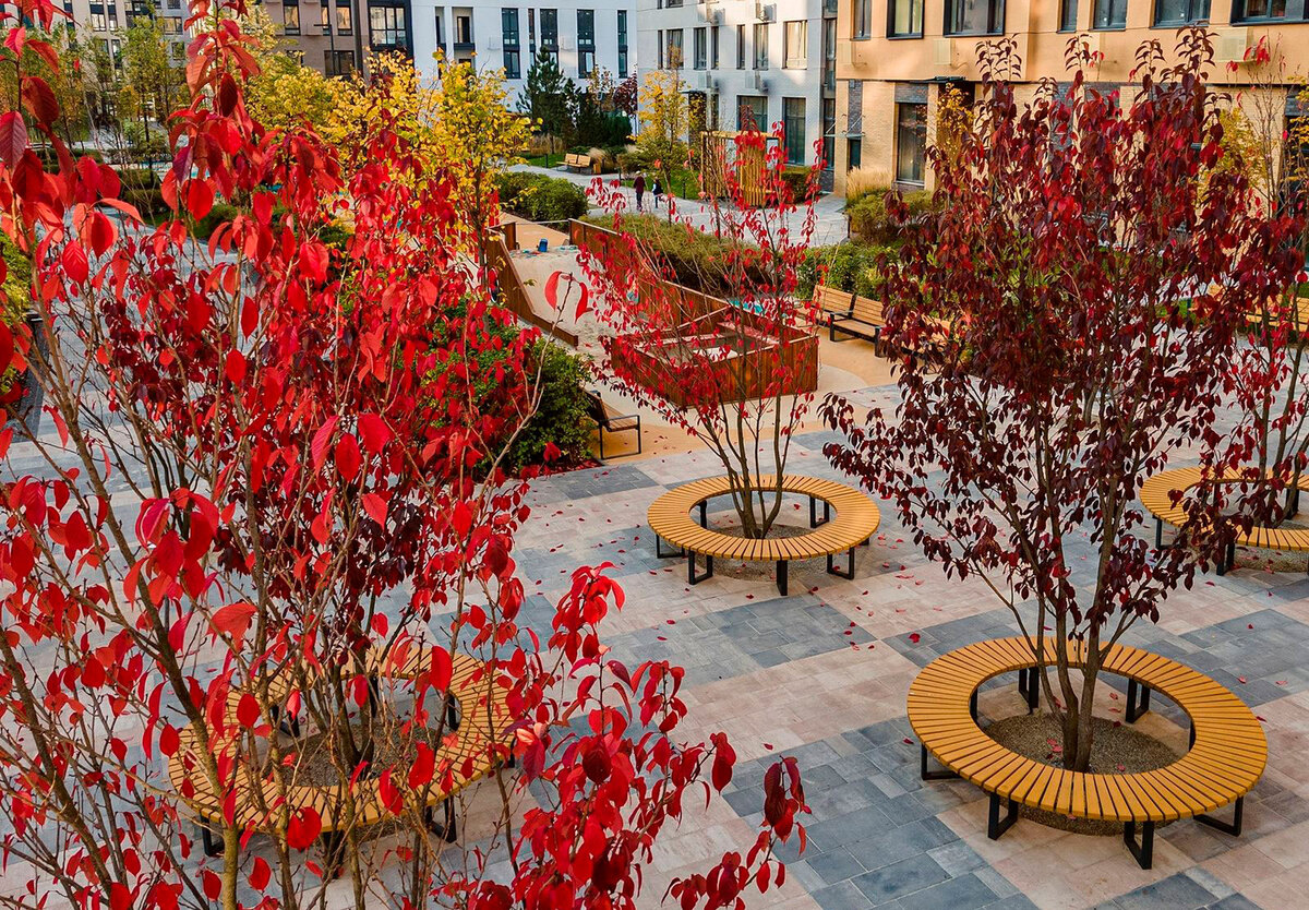 ����� ���� ����