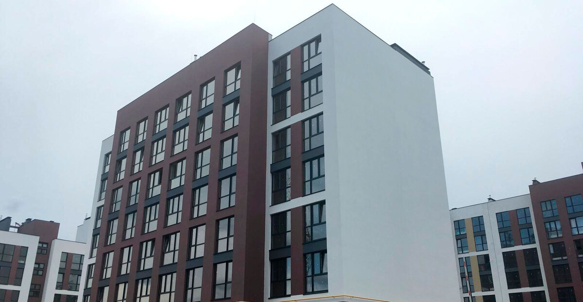 ������ ����