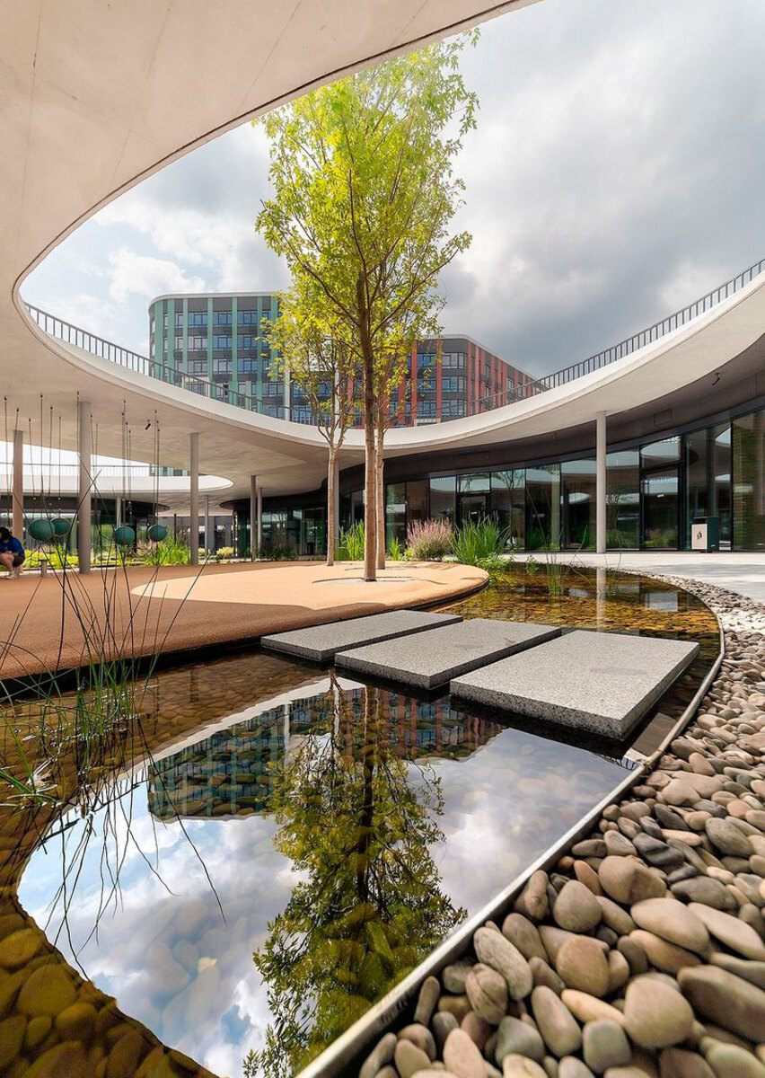 ��������� ����