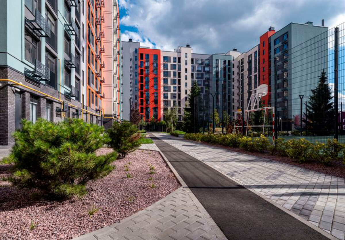 �������� ����