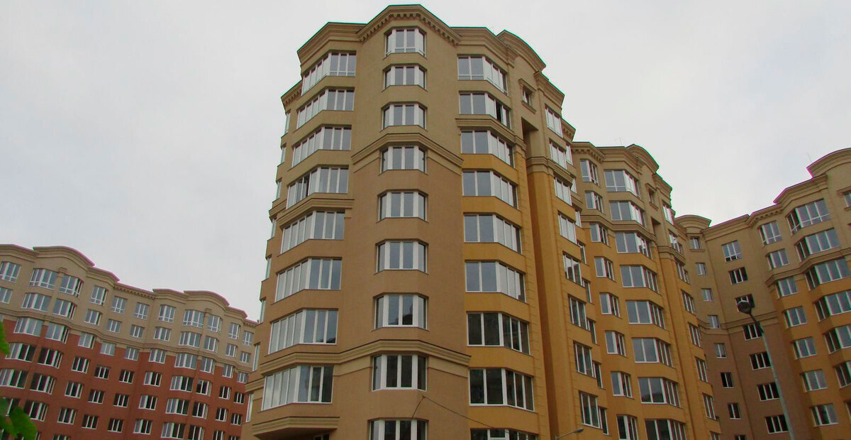 ����� ѳ� ����