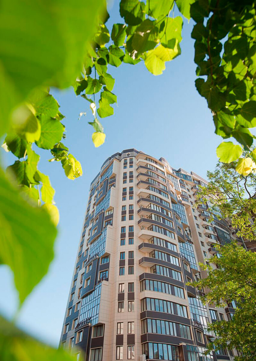 ������� ���� ����