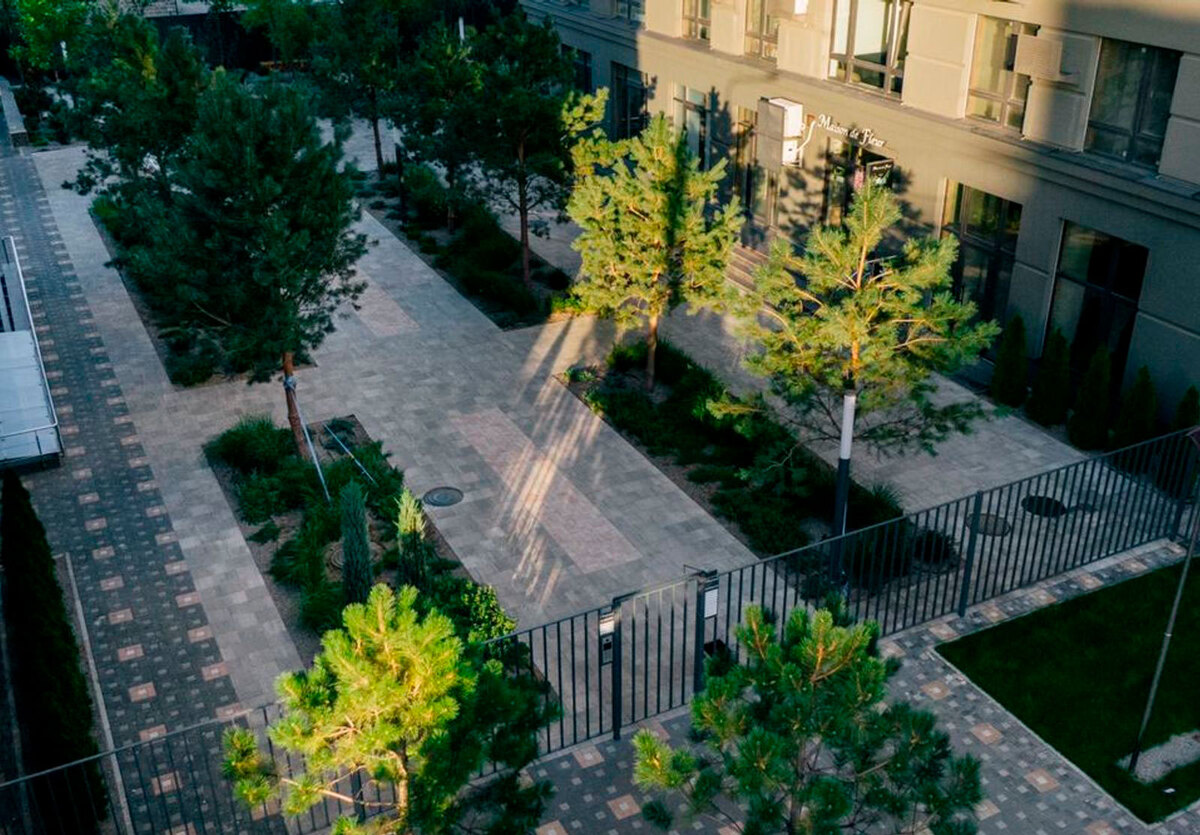 ��������� ����