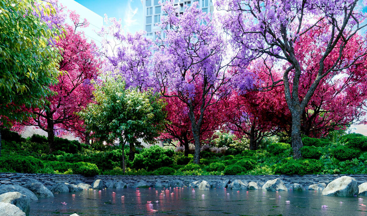 Creator City ����
