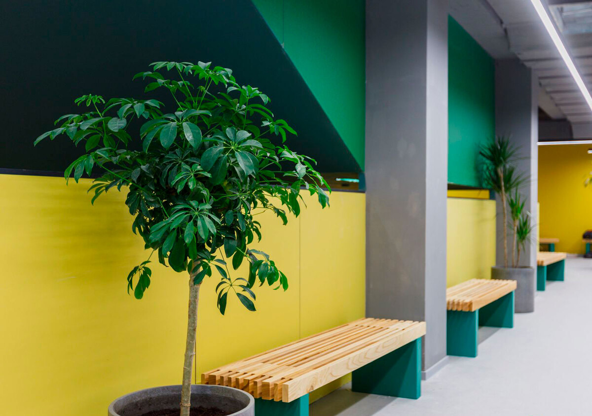 Rybalsky ����