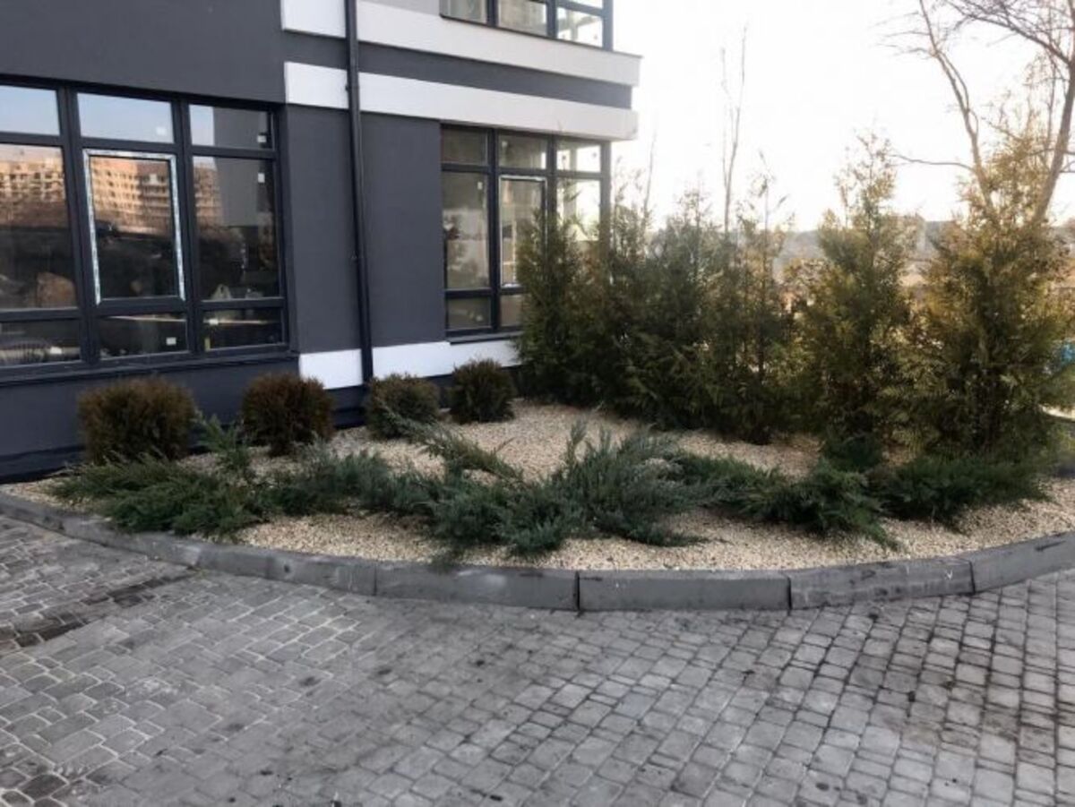 ����� ����