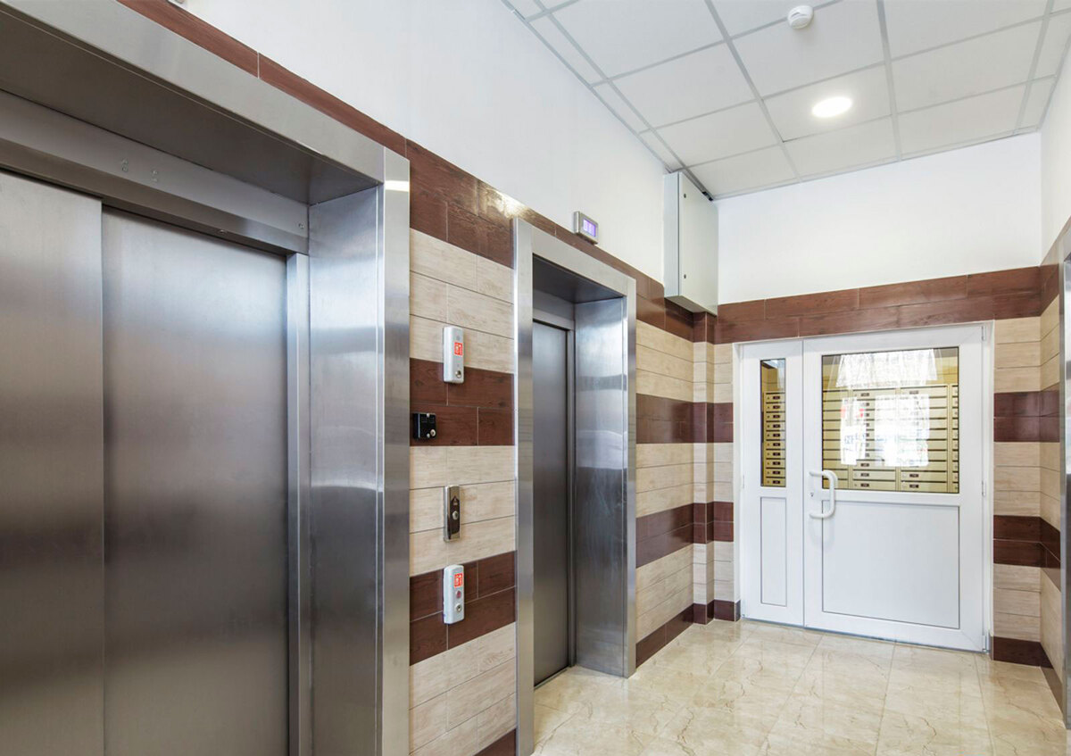 �������� ����