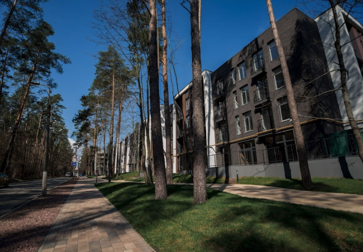 Forest Park ����